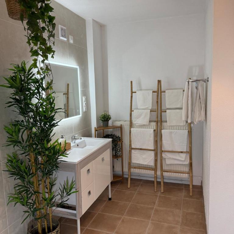 Colmar St Joseph Nature Cocoon - Appartamento con 2 Camere da Letto - 11