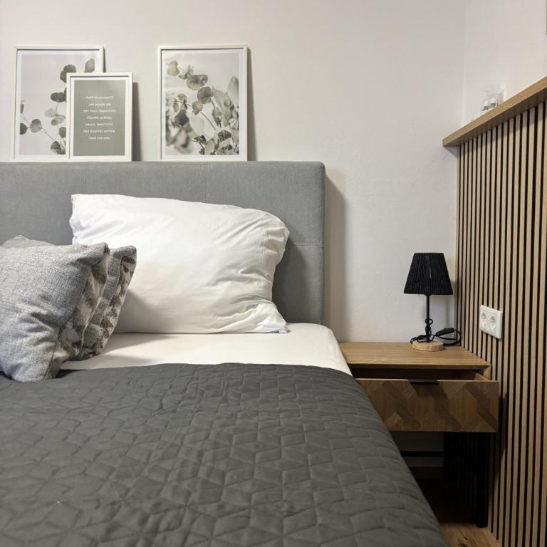 Pension Stöllinger mit Traumausblick - Chambre Simple avec Balcon - 3