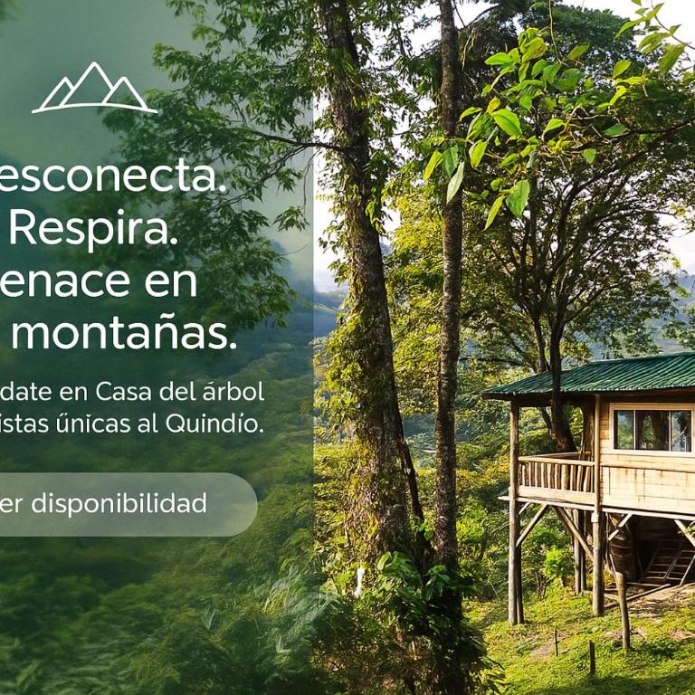 Casa Del Árbol Mirolindo Pijao Quindío - Tienda - 1