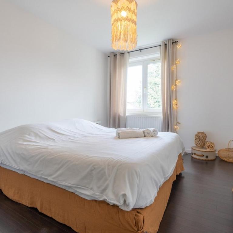 Le Riedisheim Bel Appartement Gare Mulhouse - Apartment mit 1 Schlafzimmer - 9