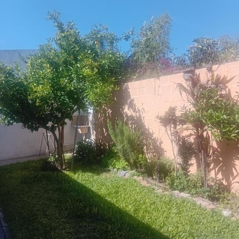 463 - Apartamento de 1 dormitorio - 1