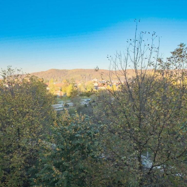 Banja Luka Lux - Apartman sa 1 Spavaćom Sobom - 3