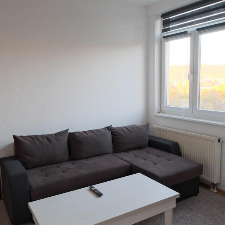 Banja Luka Lux - Apartman sa 1 Spavaćom Sobom - 5