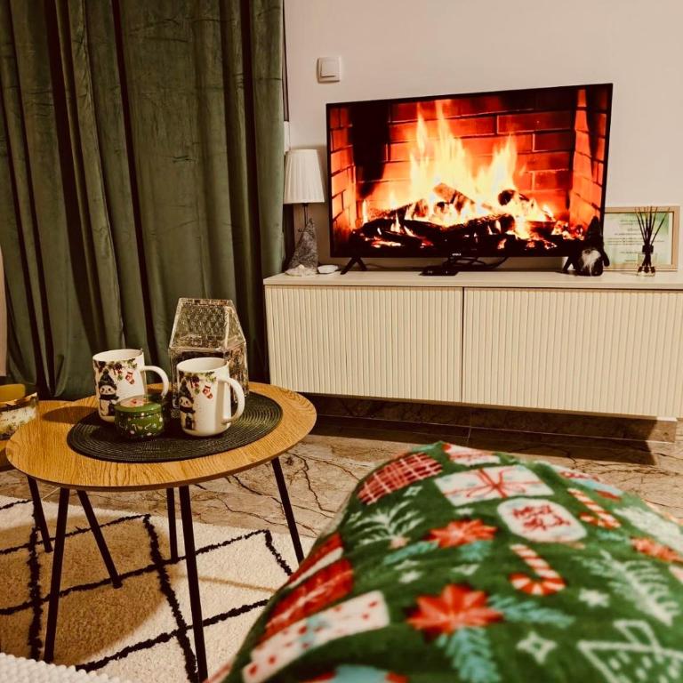 Apartman NIT Banja Koviljača - Apartman sa 1 Spavaćom Sobom - 8