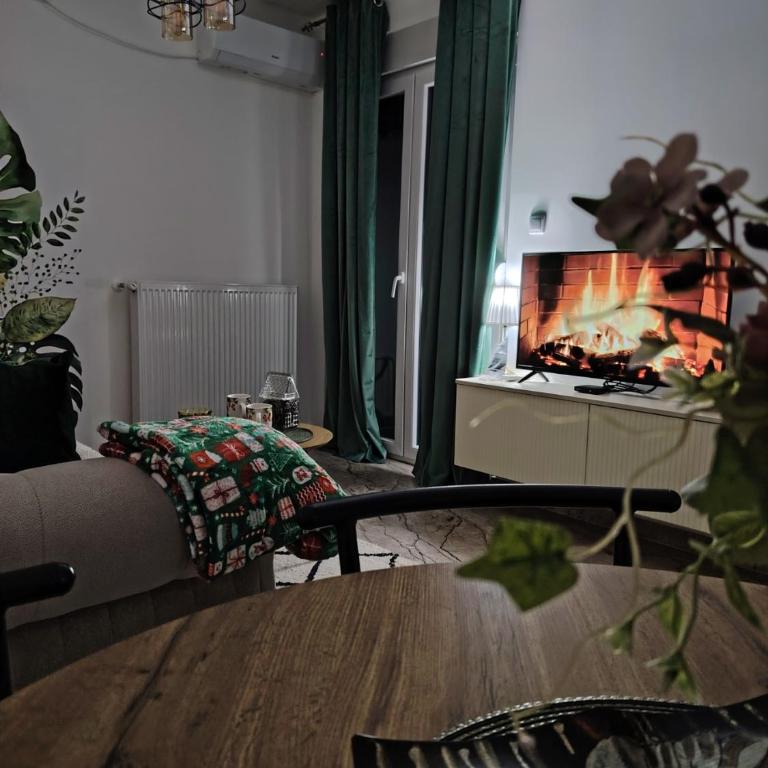 Apartman NIT Banja Koviljača - Apartman sa 1 Spavaćom Sobom - 2