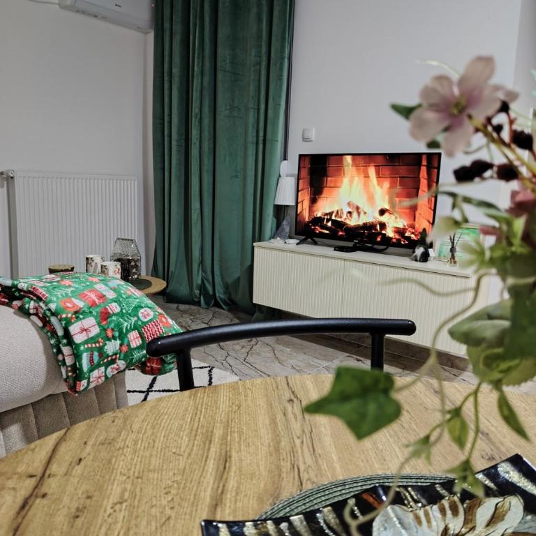 Apartman NIT Banja Koviljača - Apartman sa 1 Spavaćom Sobom - 7