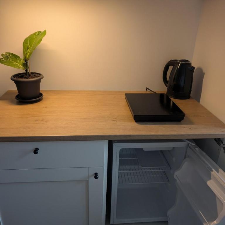 Luxury Suite - Zen Urban Retreat - Monolocale con Vista Giardino - 4