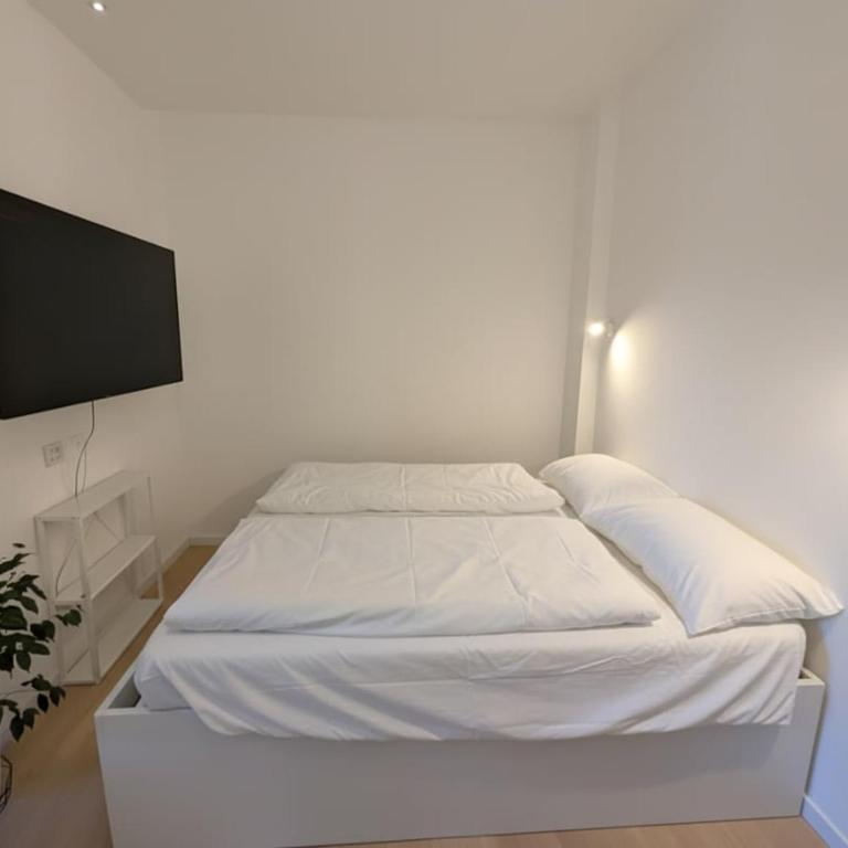 Luxury Suite - Zen Urban Retreat - Monolocale con Vista Giardino - 5