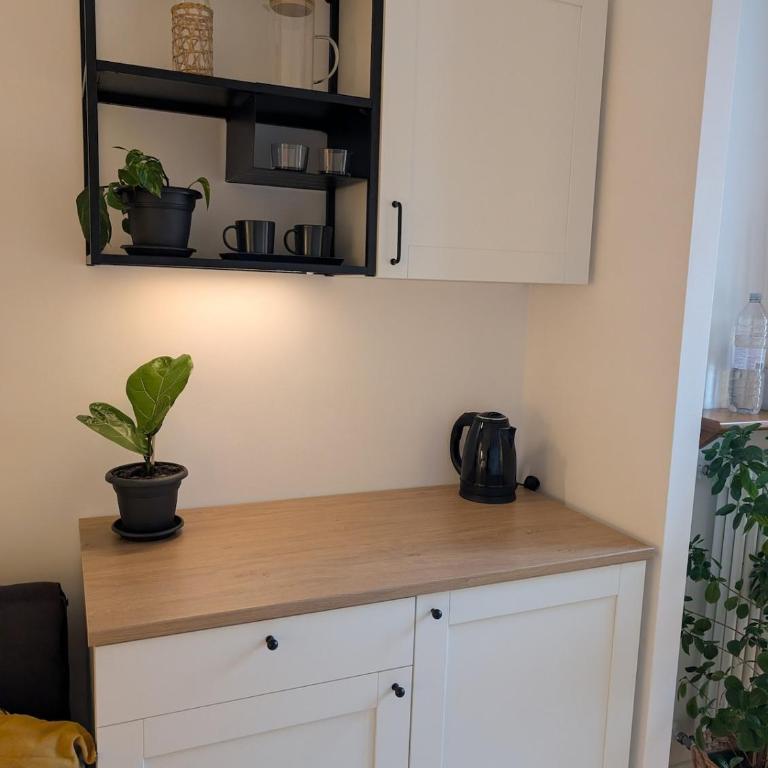 Luxury Suite - Zen Urban Retreat - Monolocale con Vista Giardino - 8