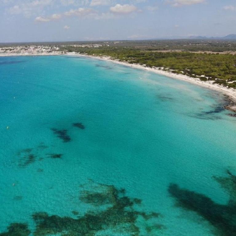 Ideal Property Mallorca - Casa Falco - Casa de 4 dormitorios - 36
