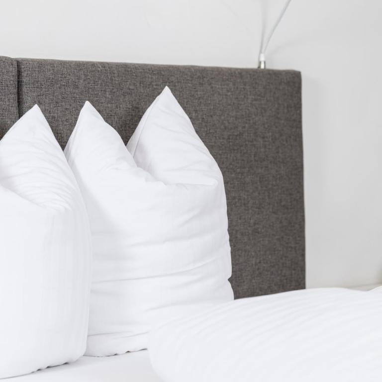 Apart-Garni Alpevita - Standard Apartment 210 - 2