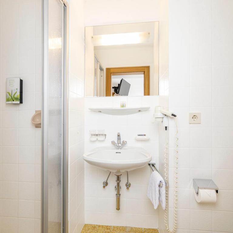 Apart-Garni Alpevita - Einzelzimmer 230 mit Balkon - 1