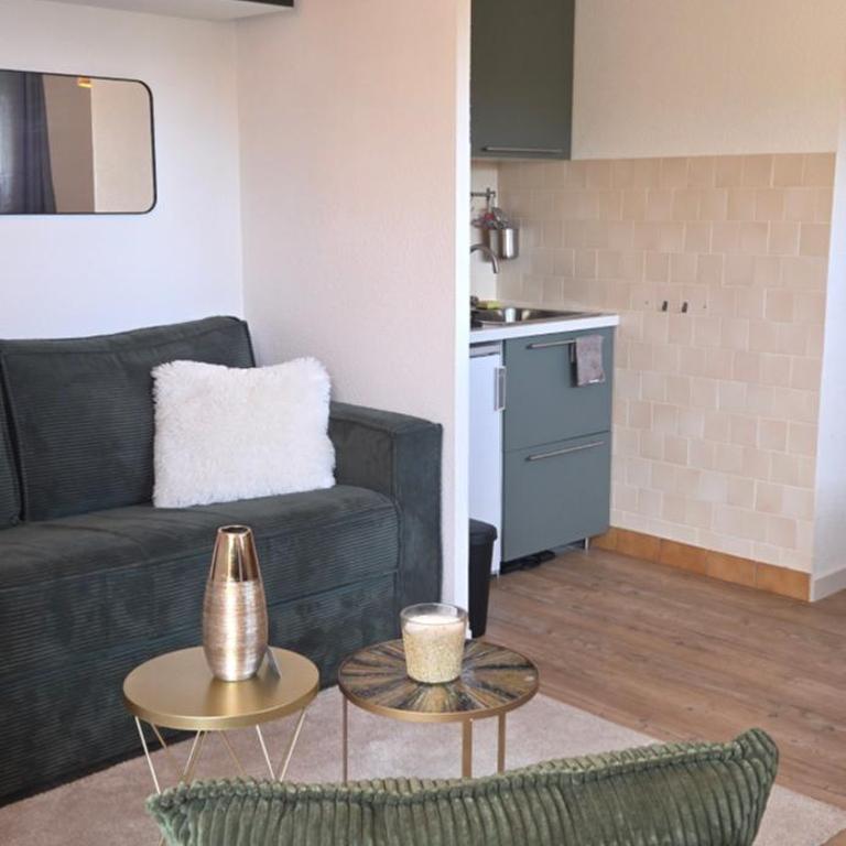 Appartement Fred Chamrousse - Au pied des pistes avec connexion wifi internet haut débit fibre - idéal pour les télétravailleurs - Apartment mit 1 Schlafzimmer - 12