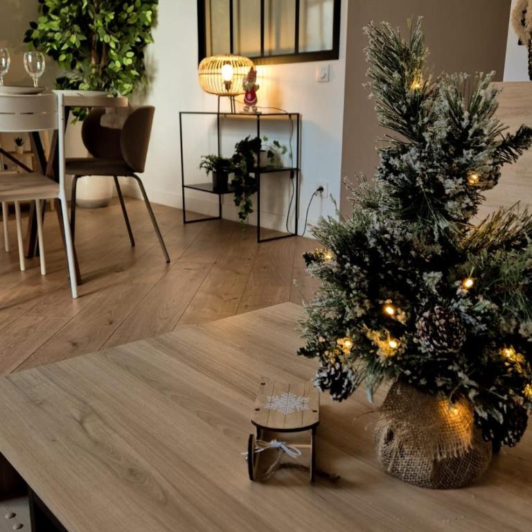 Superbe appartement 3P neuf - terrasse - barbecue - Appartement 2 Chambres - 5