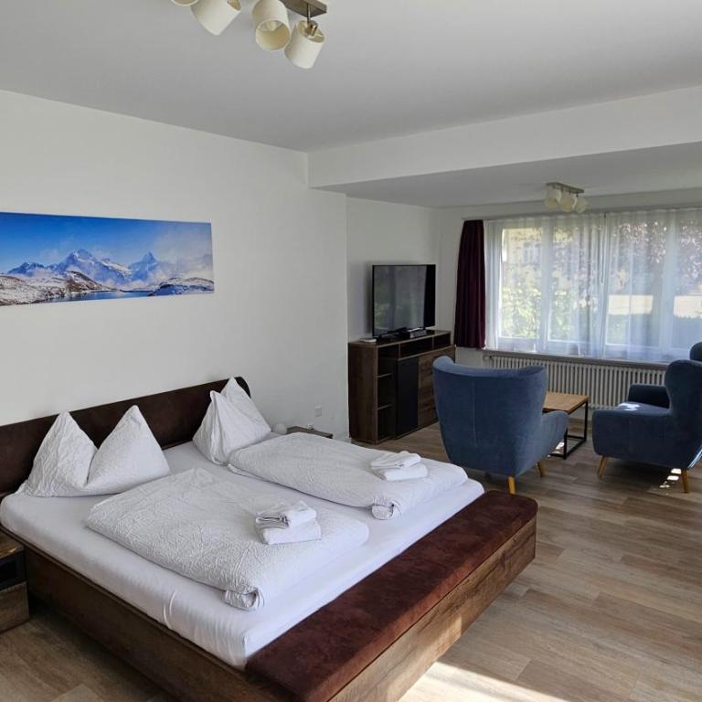 Henry's Apartments Interlaken - Apartment with Garden View - 16