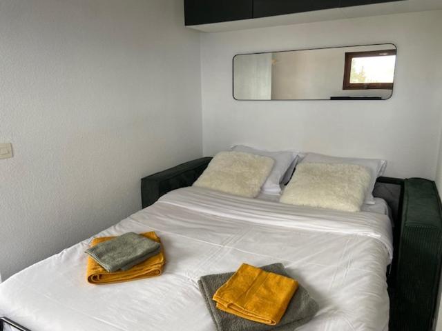 Appartement Fred Chamrousse - Au pied des pistes avec connexion wifi internet haut débit fibre - idéal pour les télétravailleurs - Apartment mit 1 Schlafzimmer - 17