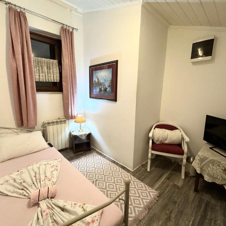 Hostel Pansion Lion - Single Room with Shared Shower and Toilet - 1