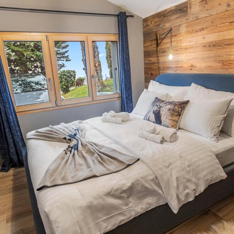 Magnifique chalet avec jardin, barbecue et parking - Chalet - 5