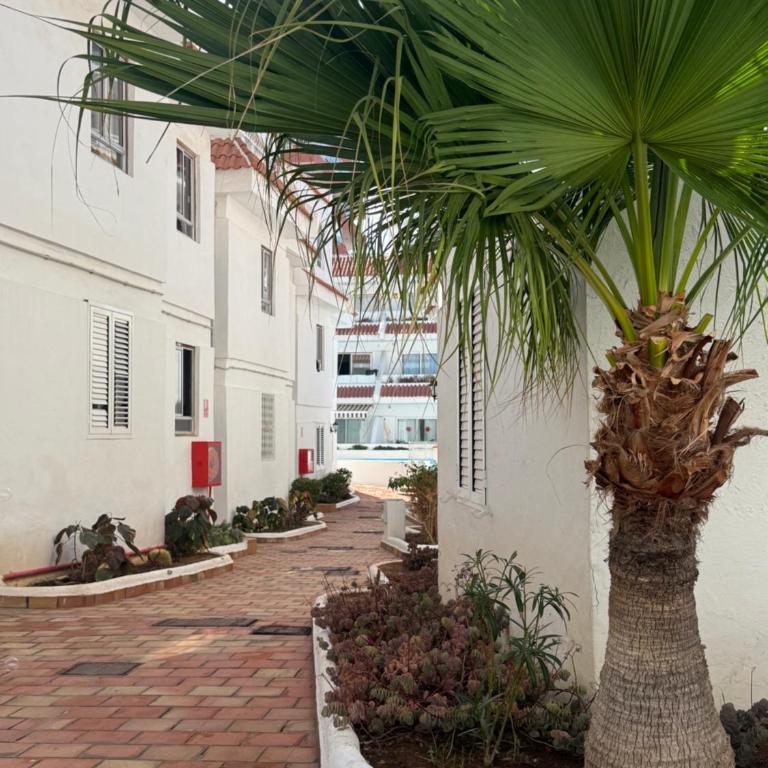 Beachkeys House - Flat in Las Americas, sea&pool view - Apartamento de 2 dormitorios - 51