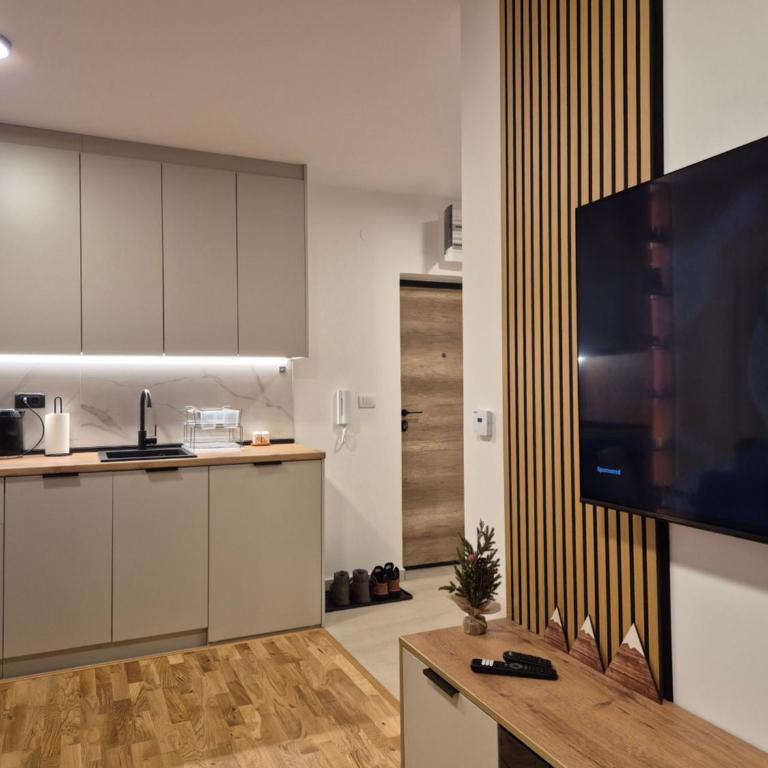 Jahorina IcePeak Apartment 301 - One-Bedroom Apartment - 5