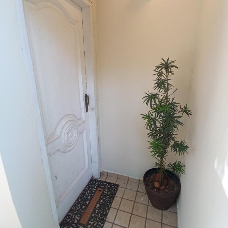 Duplex acogedor en zona residencial - Apartamento de 1 dormitorio - 12