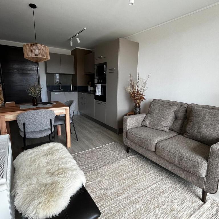 Cómodo y acogendor departamento con piscina en Puerto Natales - One-Bedroom Apartment - 5