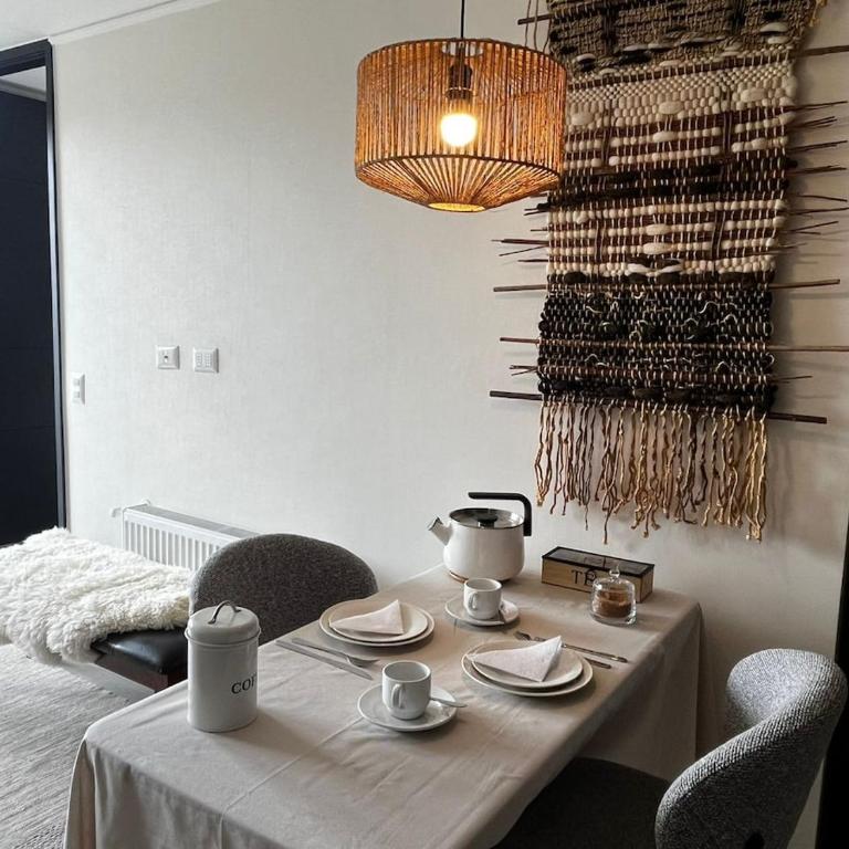 Cómodo y acogendor departamento con piscina en Puerto Natales - One-Bedroom Apartment - 22