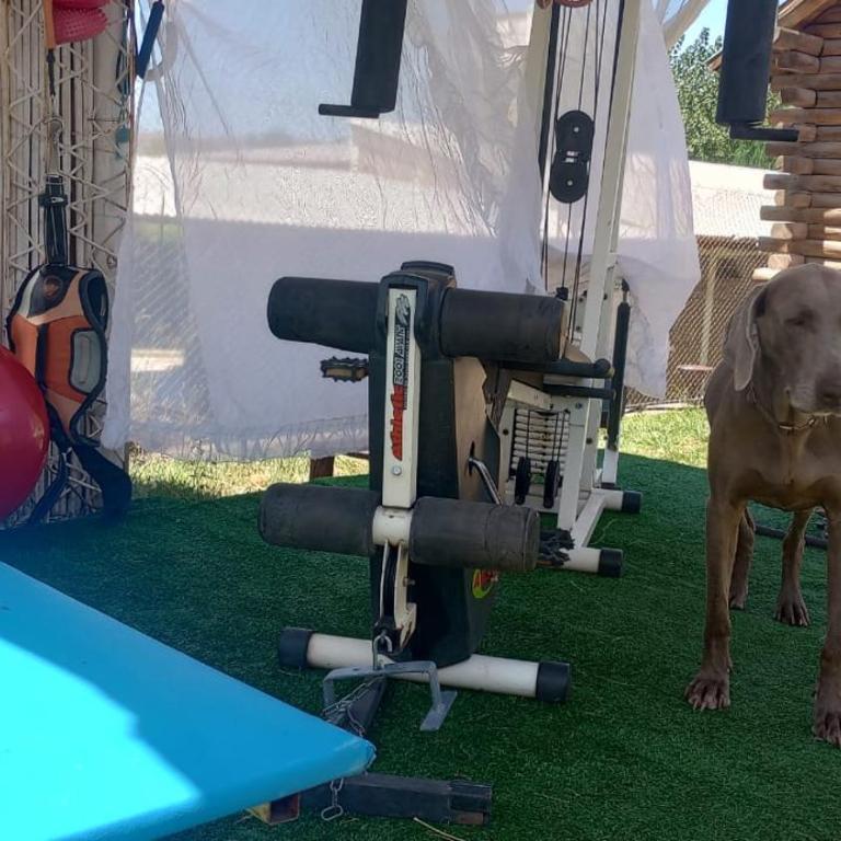 Posta India Huaira - Chalet de 1 dormitorio - 13