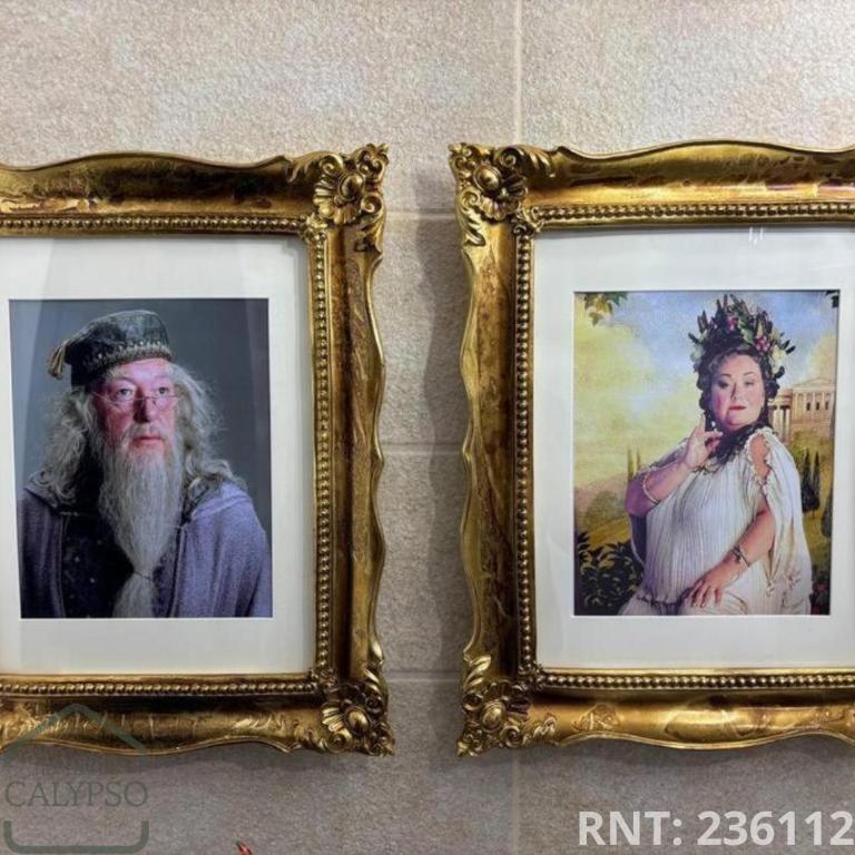 Apartaestudio Harry Potter - Apartamento de 1 dormitorio - 7