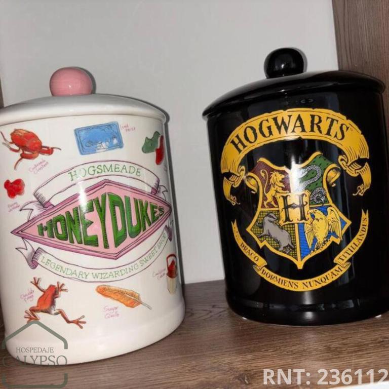 Apartaestudio Harry Potter - Apartamento de 1 dormitorio - 9