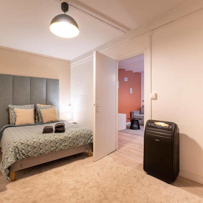 Le Rétro avec parking privé - Apartamento de 1 dormitorio - 13