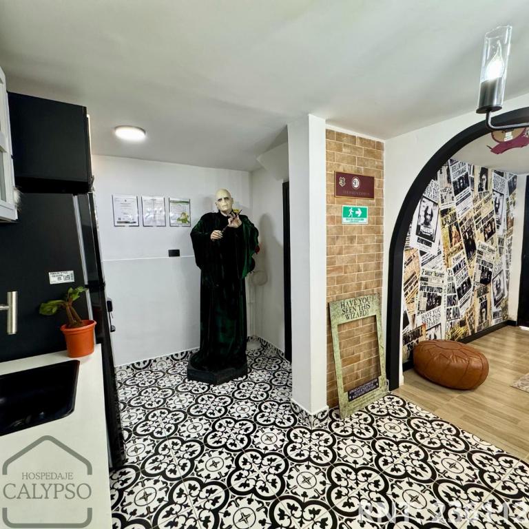 Apartaestudio Harry Potter - Apartamento de 1 dormitorio - 30