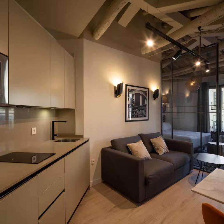 Plaza Nueva 4 - Loft - 2