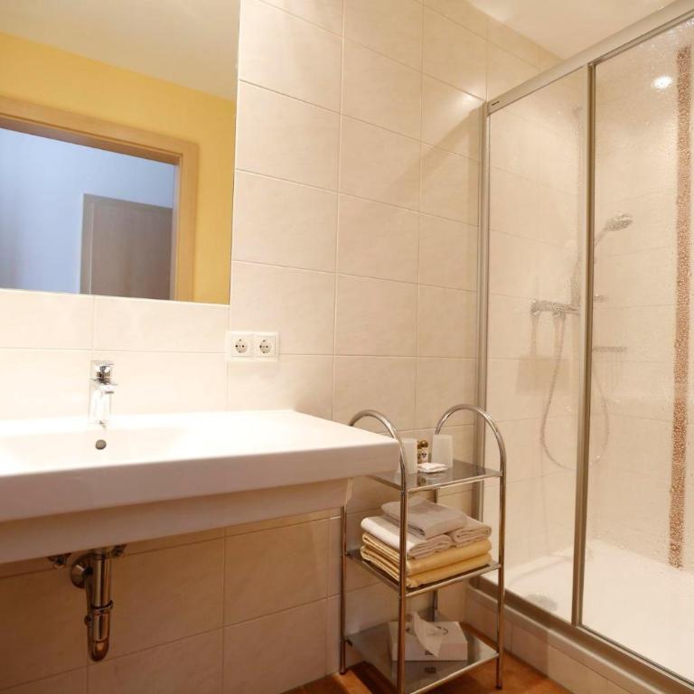 Premium Wanderhotel Steirerhof - Studio mit Dusche - 11