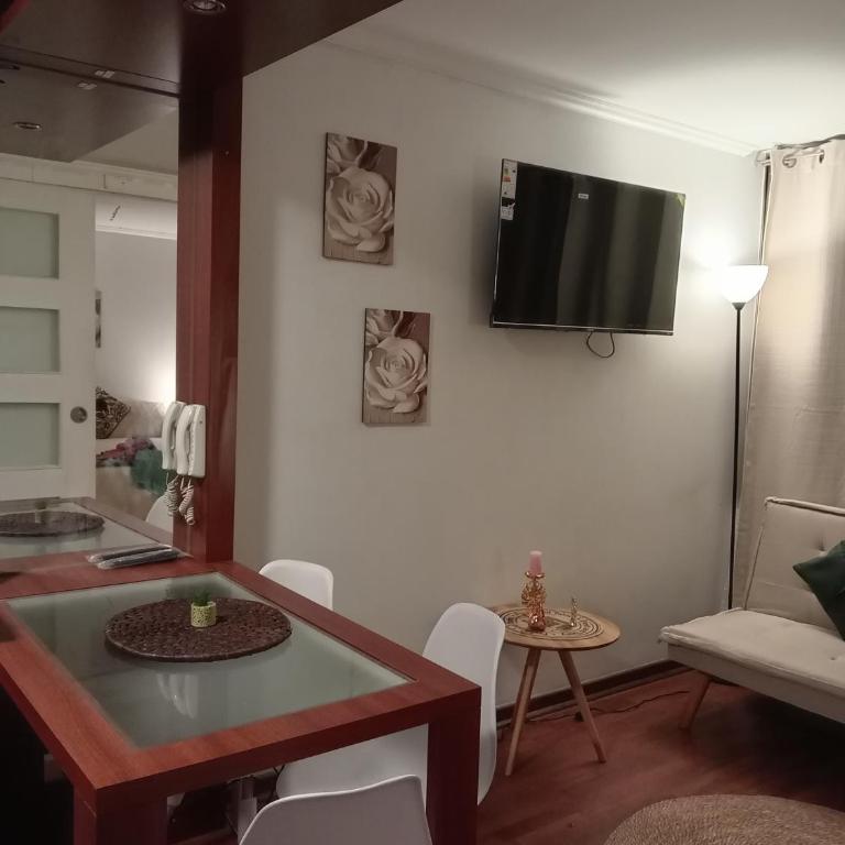 Departamento Ejecutivo Santiago centro - One-Bedroom Apartment - 5