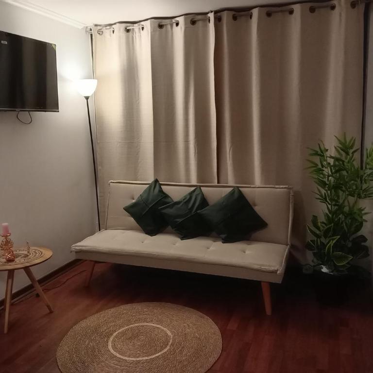 Departamento Ejecutivo Santiago centro - One-Bedroom Apartment - 7
