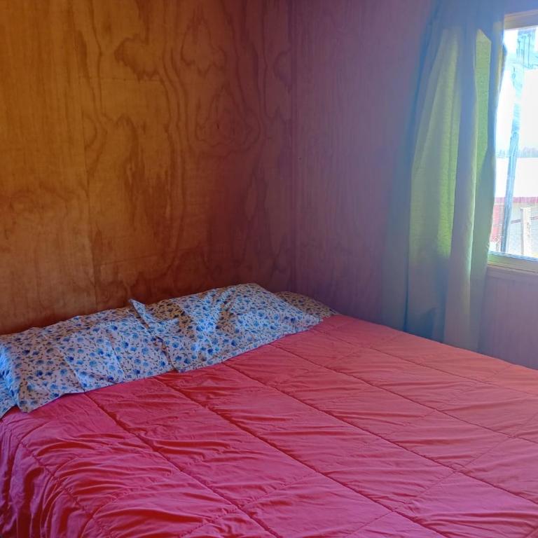 Alto de Pucatrihue - Two-Bedroom House - 5
