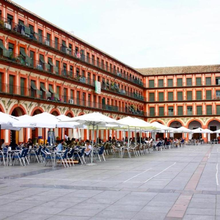 Sunny Holiday Apartment in the historic centre- Private Parking - One-Bedroom Apartment - 41