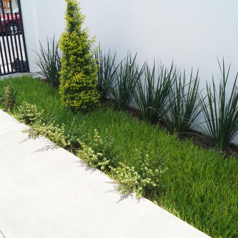 MV Suites - Studio Apartment - 23