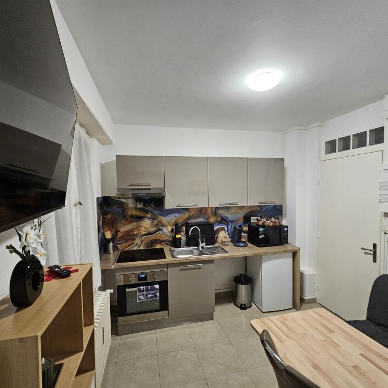 IMMOSTRASBOURG - Orangerie - hébergements classés proche centre et Conseil d'Europe - Appartamento con 1 Camera da Letto - Non Fumatori - 2