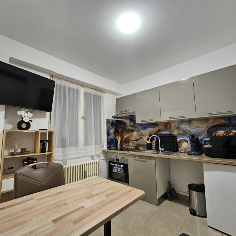 IMMOSTRASBOURG - Orangerie - hébergements classés proche centre et Conseil d'Europe - Appartamento con 1 Camera da Letto - Non Fumatori - 3