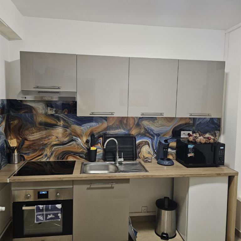 IMMOSTRASBOURG - Orangerie - hébergements classés proche centre et Conseil d'Europe - Appartamento con 1 Camera da Letto - Non Fumatori - 7