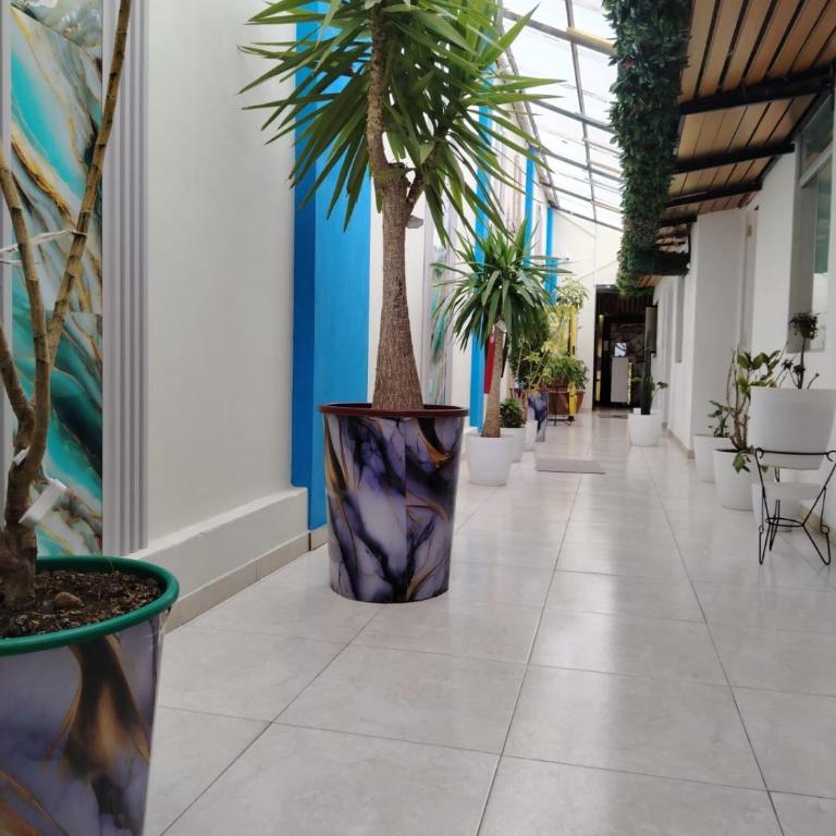 Concubinas del Inca - Single Room - 3