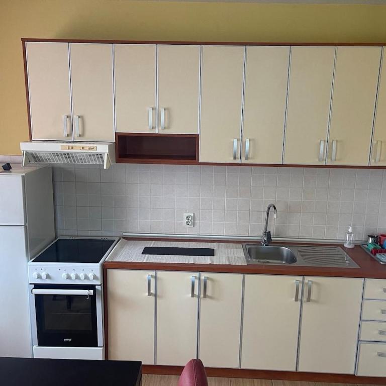 Duplex apartment in Podgorica - Apartman sa 1 Spavaćom Sobom - 1