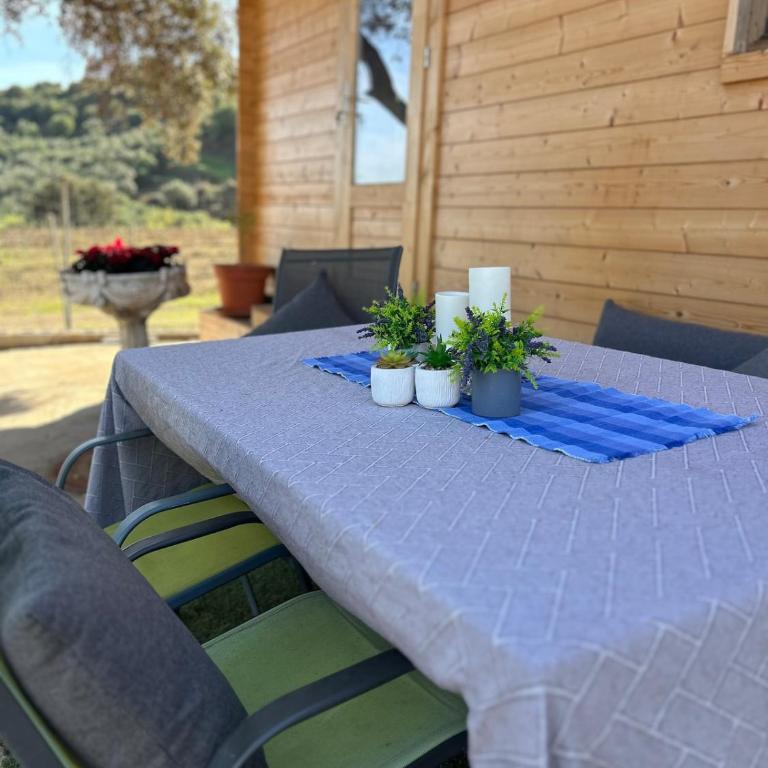 OASIS DEL DESCANSO disconnect in Nature minutes from the Beach - Casa con 1 dormitorio - 6