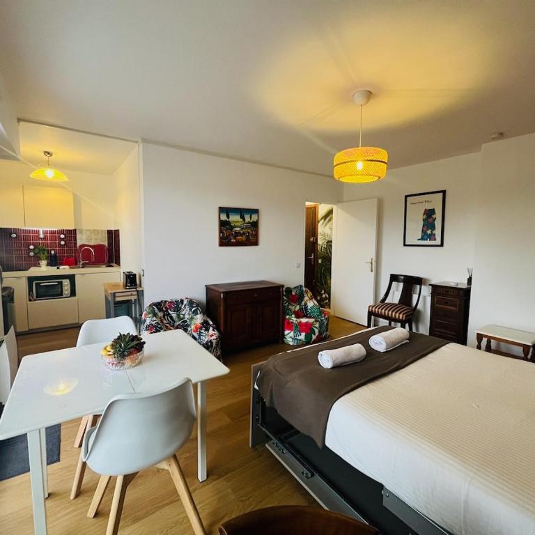 Biarritz proche centre ville - Studio avec balcon - Monolocale - 12