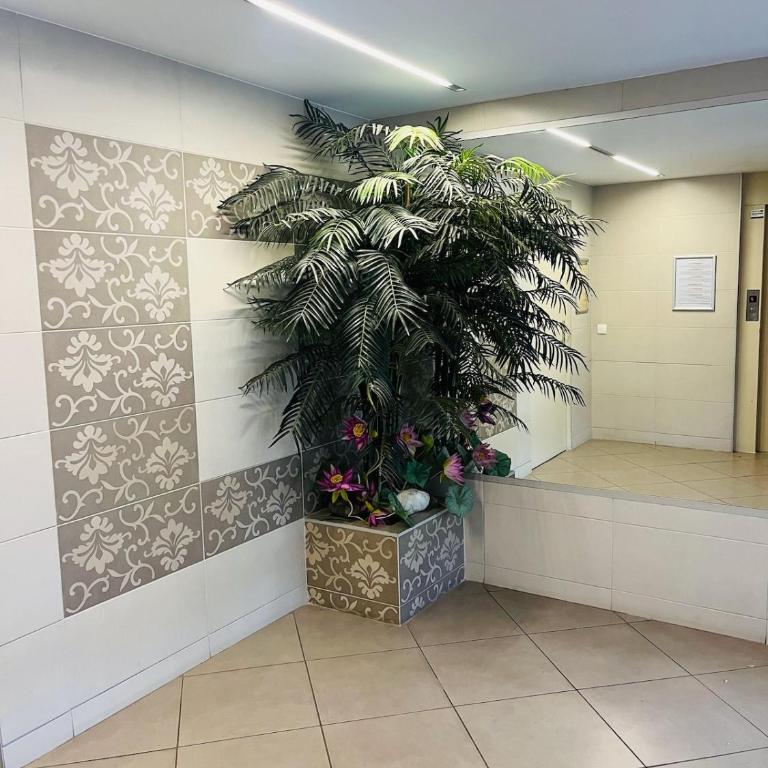 Biarritz proche centre ville - Studio avec balcon - Monolocale - 22
