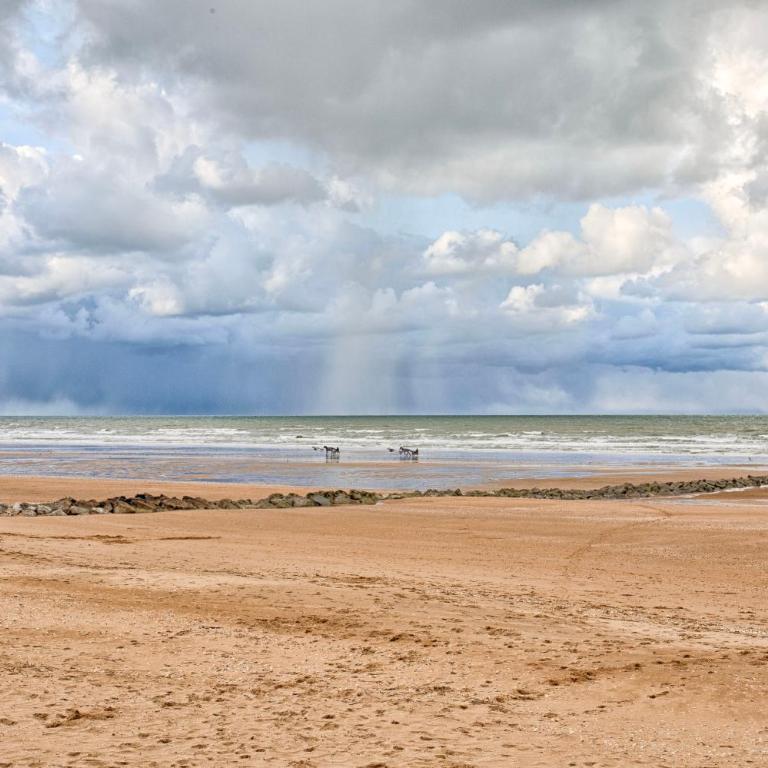 Cabourg Plage - Wifi & Jardin - Mer à 200m - One-Bedroom Apartment - 7