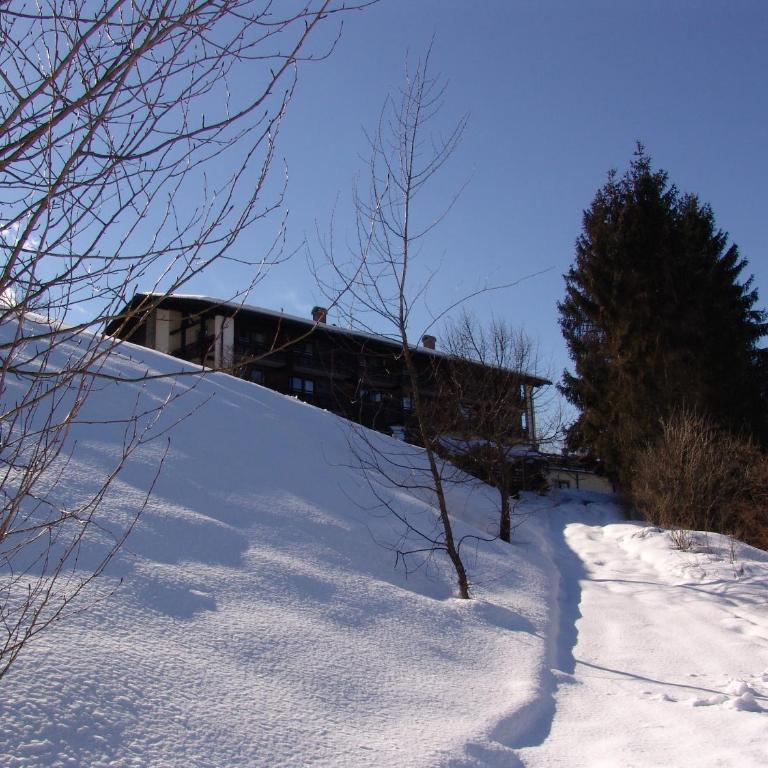 Der Schlossberghof Marzoll - Landidyll & Naturgarten - vital-sportlich-gesund- - Standard Doppelzimmer - 11