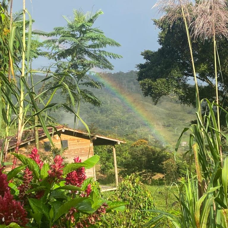 Camelia Hostel - One-Bedroom Chalet - 6